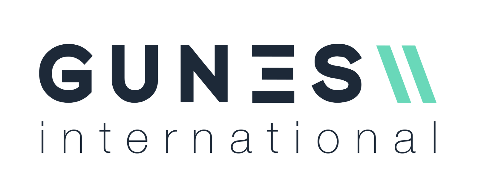 Gunes International